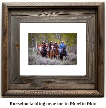 horseback riding near me in Oberlin, Ohio